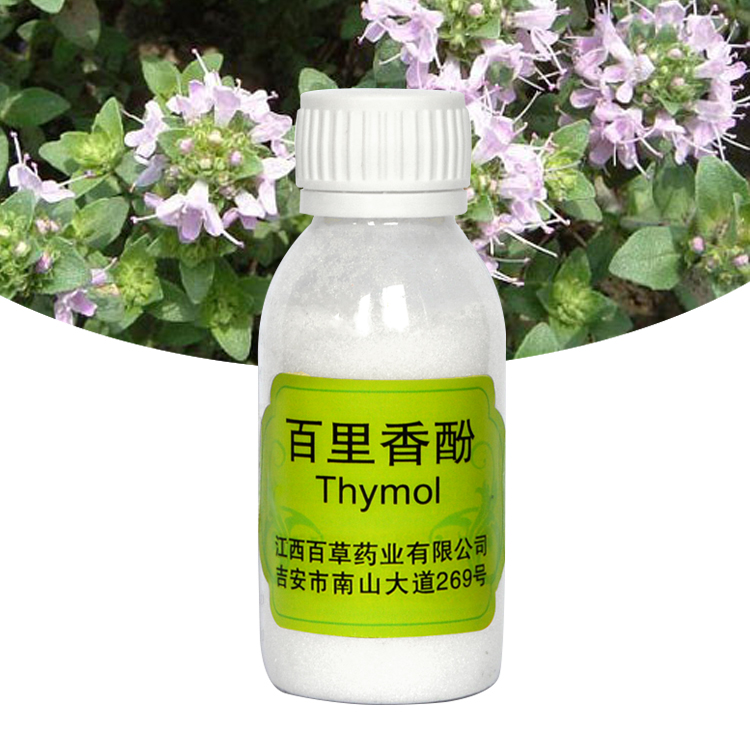 Factory wholesale thymol daily flavor plant extracts