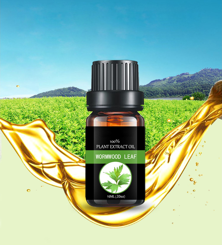 Artemisia Oil Aromise Oil Moxa leaf oil