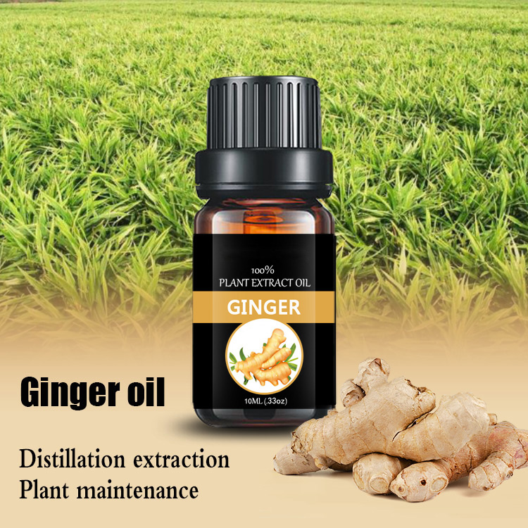 Customized small bottle essential oil Professional manufacturer Ginger flower oil  zingiberol,gingerol,shogaol