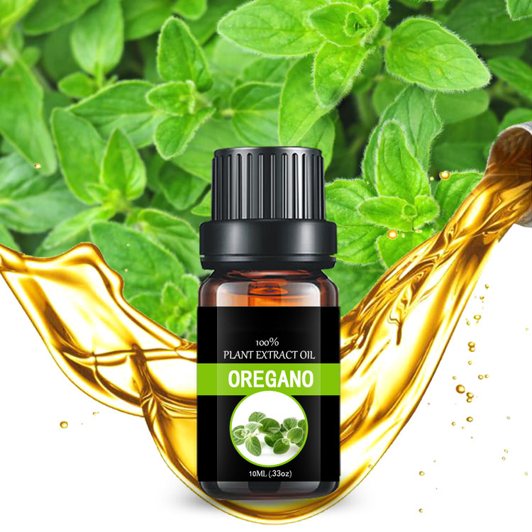 Customized small bottle essential oil Carvacrol Oil with High Oregano Feed Additive wholesale