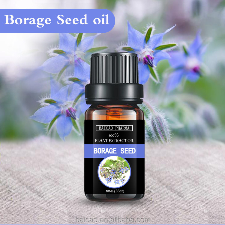 Sale Customized small bottle manufacturer factory wholesale Borage oil massage Spa carrier oil fragrance oil