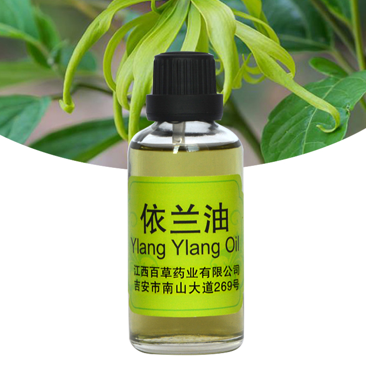 Global Exporter 8006-81-3 Yilan Yilan Essential Oil Jiangxi Cosmetic Oil Perfume Oil