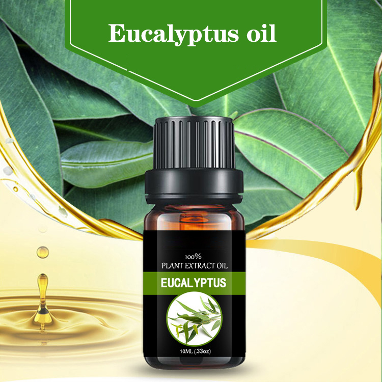 Customized small bottle essential oil Eucalyptus Essential Oil 99% Cineole Eucalyptol