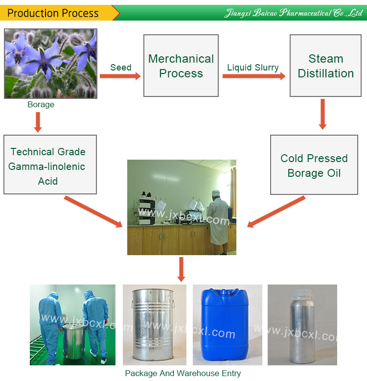 Borage seed oil carrier oil,  extract
