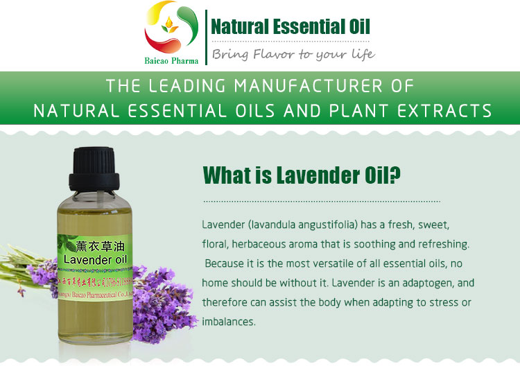 8000-28-0 Flavour and fragrance pure natural lavender essential oil for body massage, diffuser, sleeping