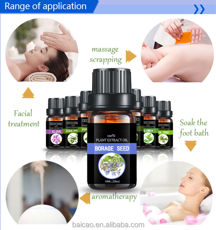Body Lotion Massage Oil Borage Oil Fragrant Oil Plant Extract