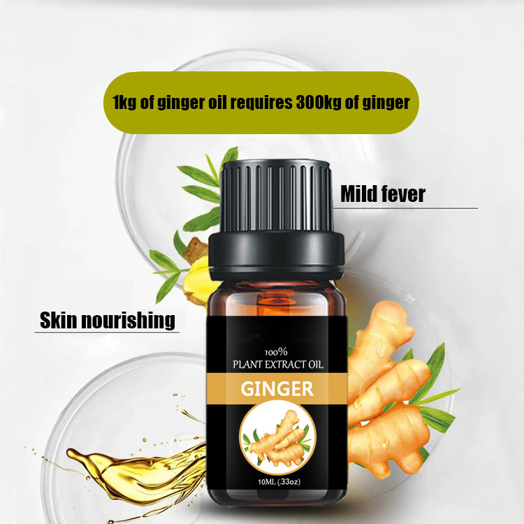 Customized small bottle essential oil Professional manufacturer Ginger flower oil  zingiberol,gingerol,shogaol