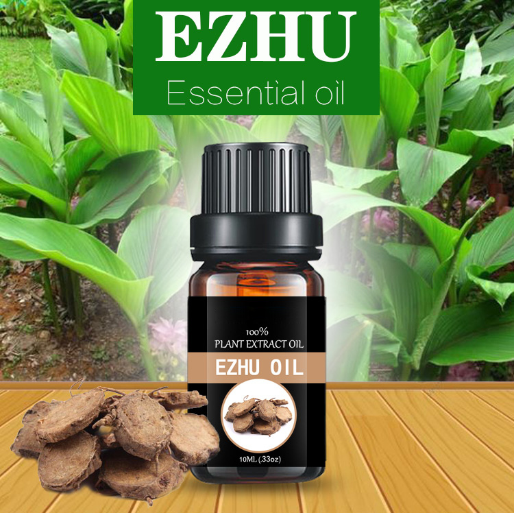 Jiangxi essential oil supplier zedoary turmeric oil plant extract essential oil