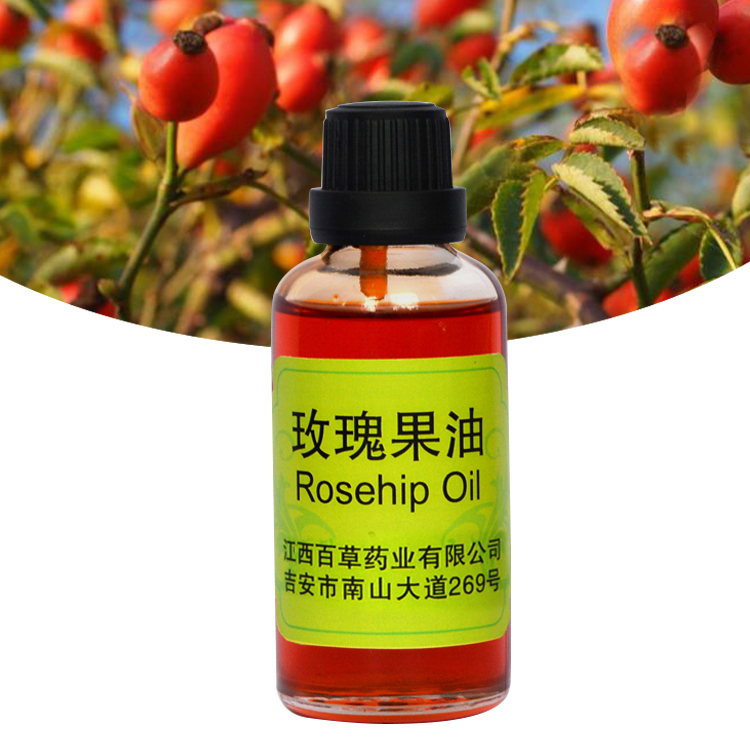 Global exporter Factory Produce Rosehip Seed Oil