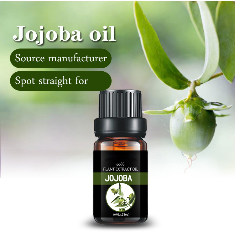 Global exporter of Jojoba Oil Body Moisturizing Lotion Perfumes Oil