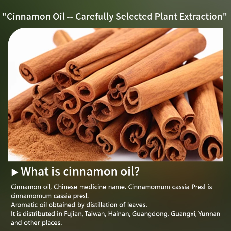 肉桂油6