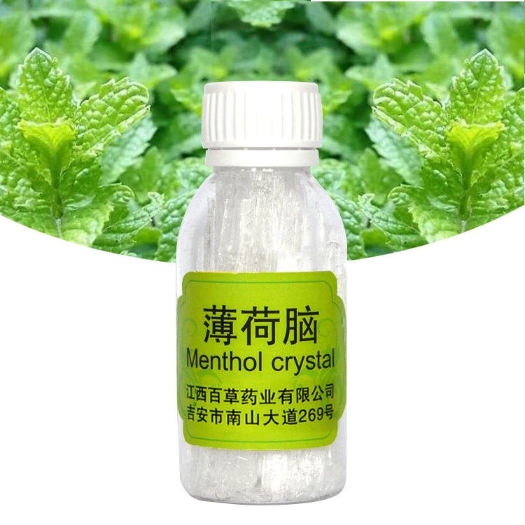 薄荷脑_01